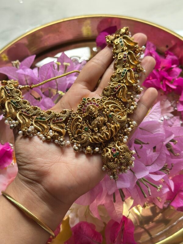 Premium Padmavati Antique Necklace set