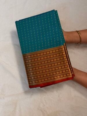 IMG_9642 Arani soft silk