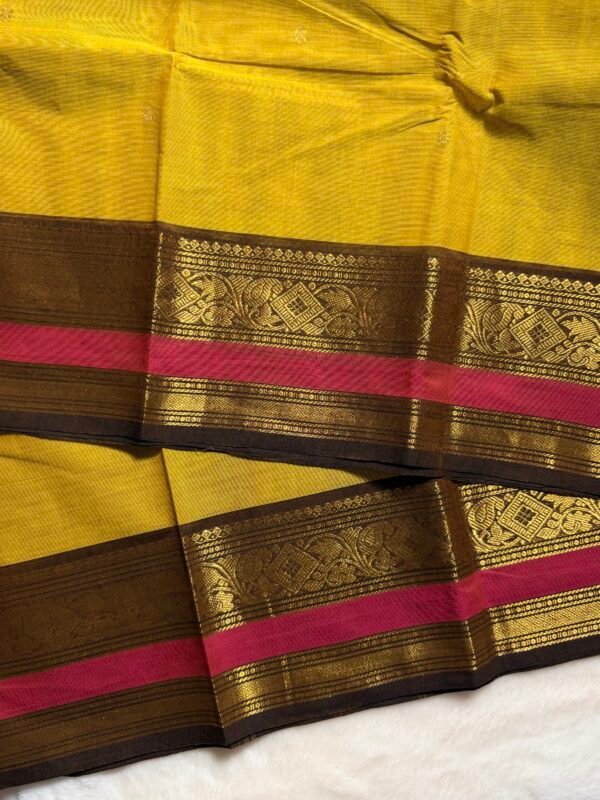 Premium Kanchi Cotton Saree