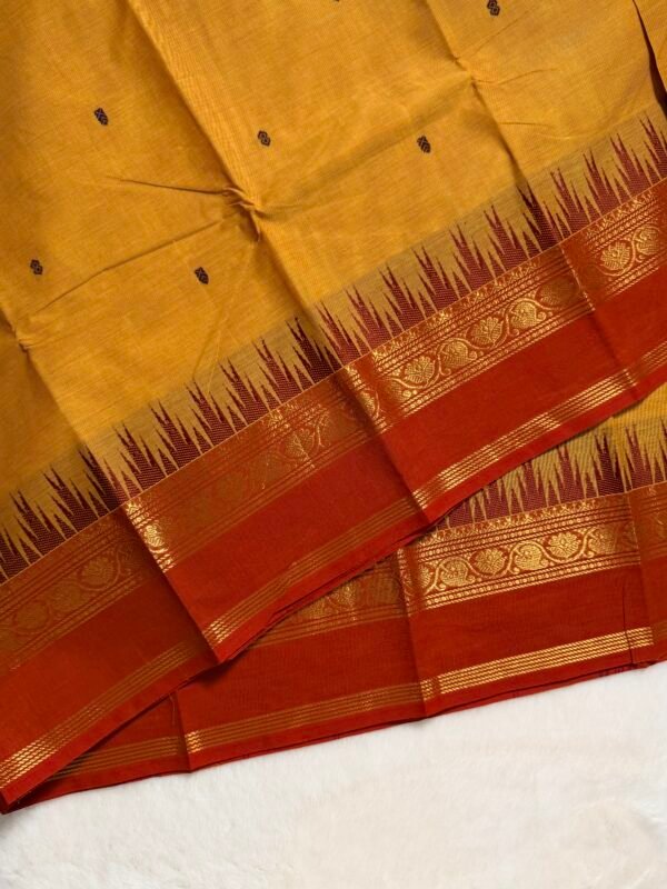 Premium Kanchi Cotton Saree