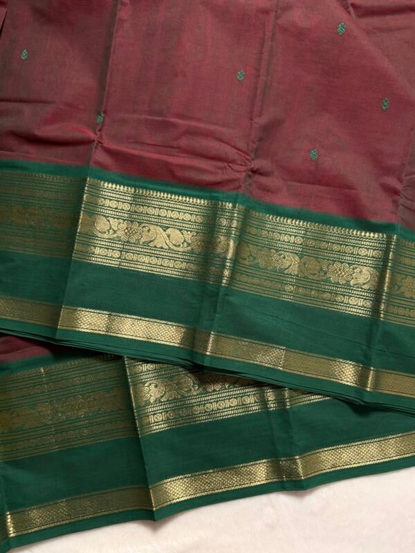 Premium Kanchi Cotton Saree