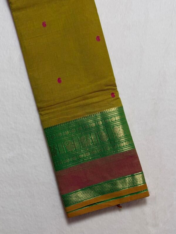 Premium Kanchi Cotton Saree
