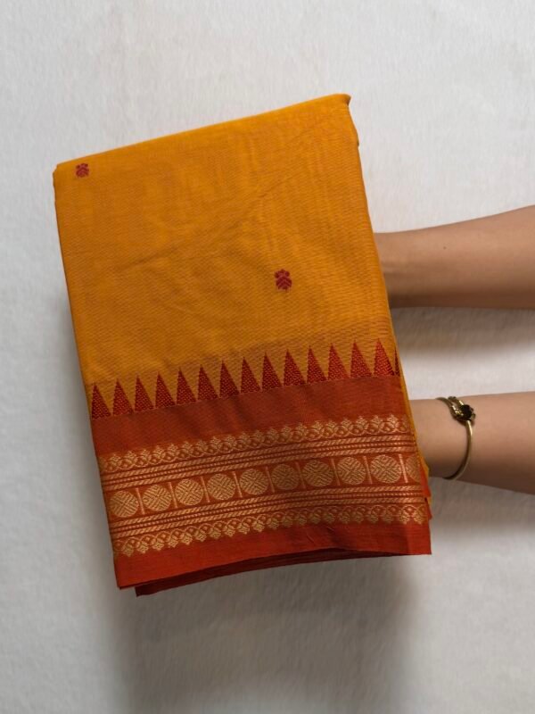 Premium Kanchi Cotton Saree