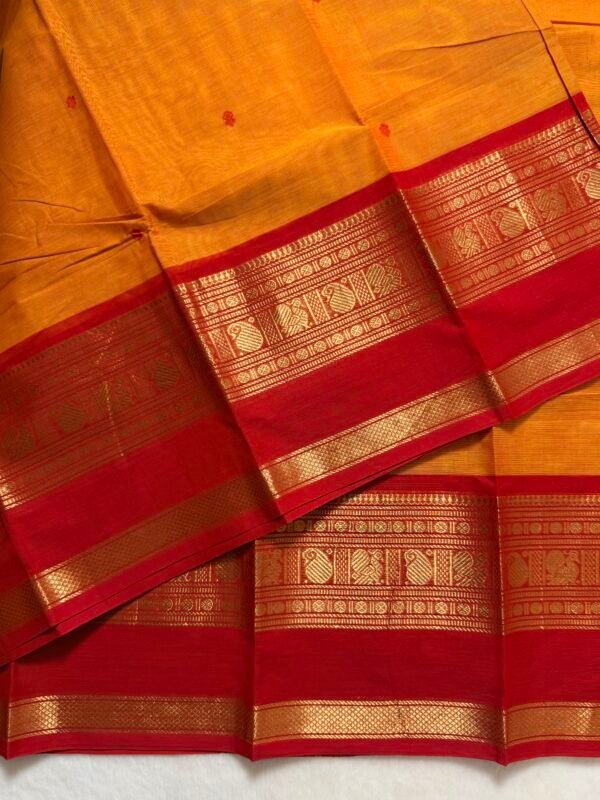 Premium Zari Kanchi Cotton Saree