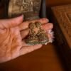 Parvati Antique Jumka